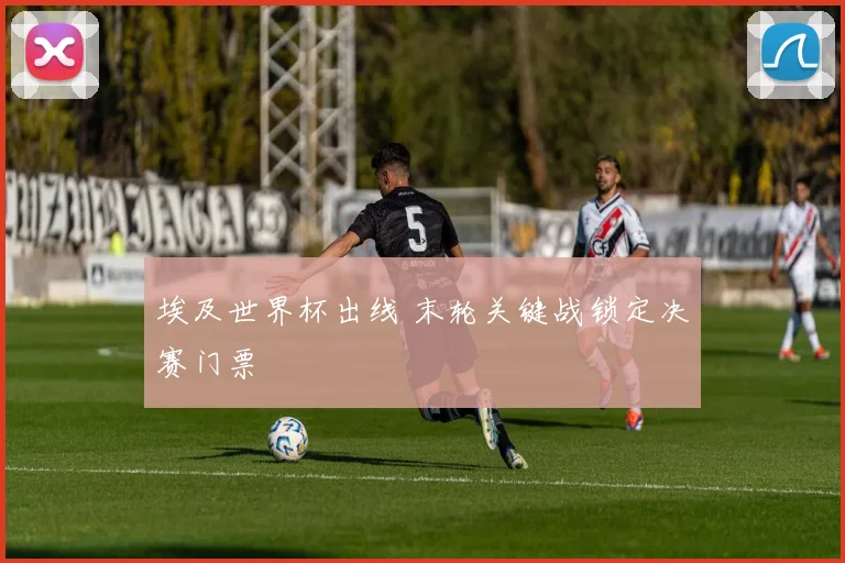 埃及世界杯出线 末轮关键战锁定决赛门票